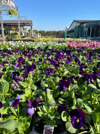 Keller, TX Garden Center