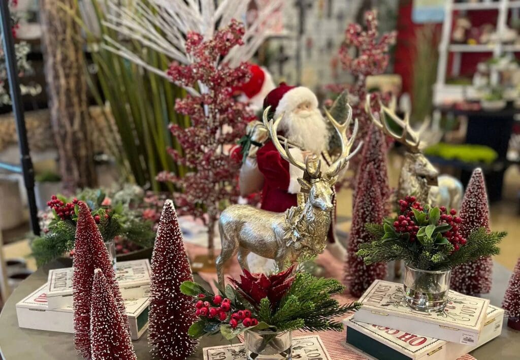 Santa