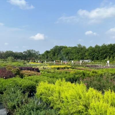 Keller, TX Garden Center