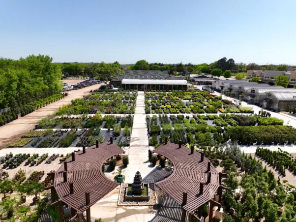 Southlake, TX Landscaping Companies