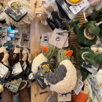 Keller, TX's Best Garden Center Gift Shop