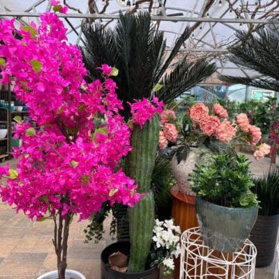 Keller, TX's Best Garden Center Gift Shop