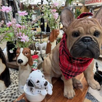Keller, TX's Best Garden Center Gift Shop