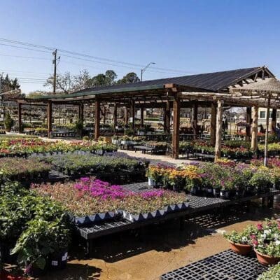 Keller, TX Plant & Tree Nursery