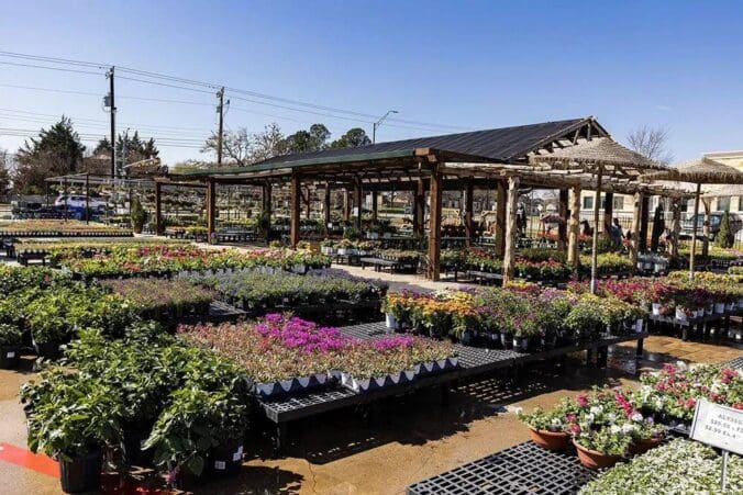 Keller, TX Plant & Tree Nursery