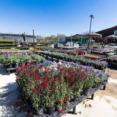 Keller, TX Plant & Tree Nursery