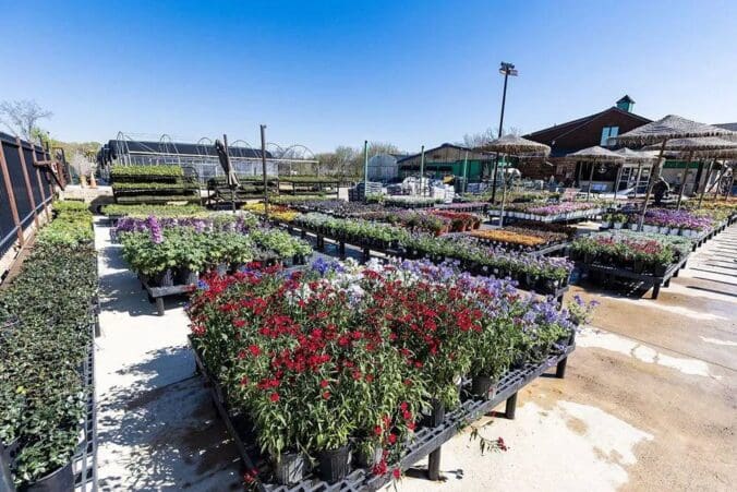 Keller, TX Plant & Tree Nursery