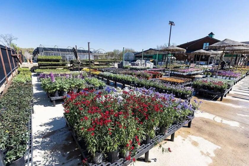 Keller, TX Plant & Tree Nursery