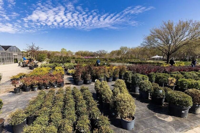 Keller, TX Plant & Tree Nursery