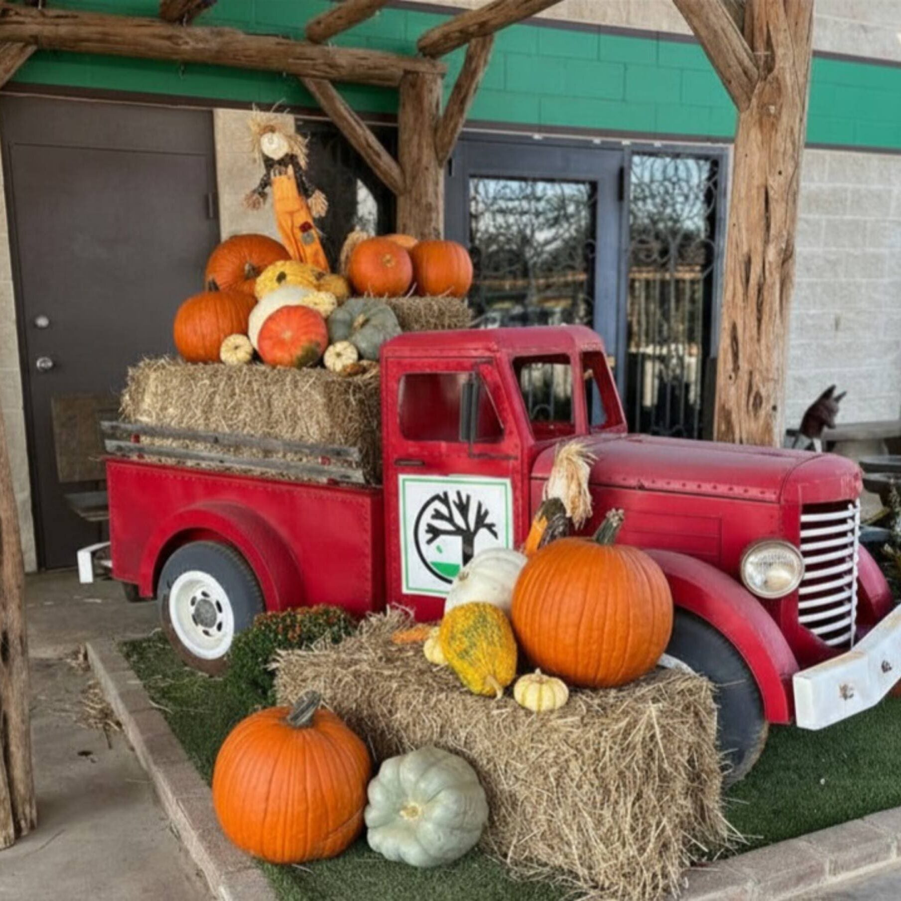 Keller, TX Pumpkin Patch & Christmas Tree Farm