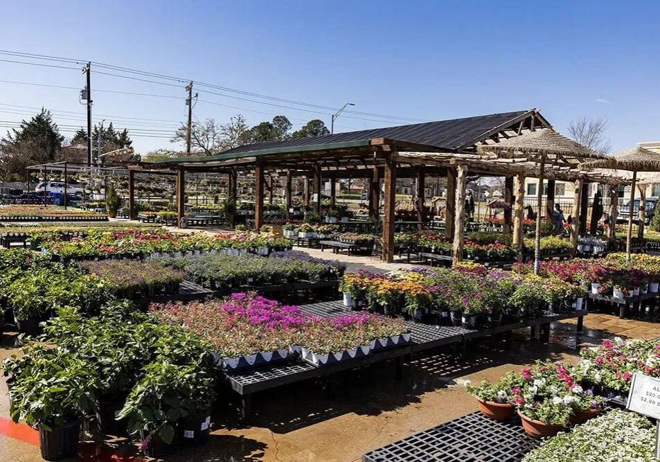 Keller, TX Plant & Tree Nursery