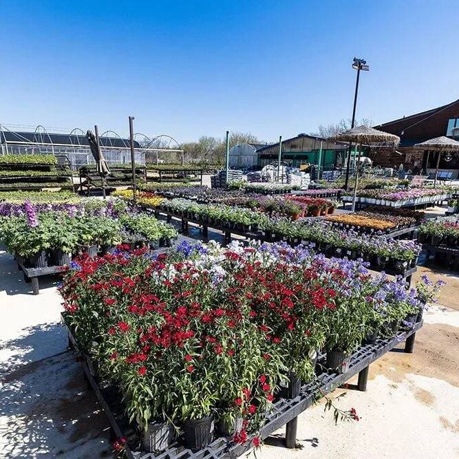 Keller, TX Plant & Tree Nursery